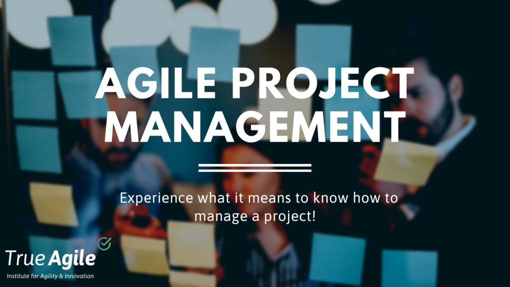 Agile Project Management and IFAAI